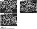 Fig. 15 - CERAMIC CEMENT MIXTURE AND CERAMIC HONEYCOMB WITH CERAMIC CEMENT SKIN