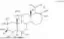 Fig. 10 - COMPOSITIONS AND METHODS FOR TREATING CNS DISORDERS