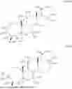 Fig. 263 - COMPOSITIONS AND METHODS FOR TREATING CNS DISORDERS