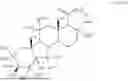 Fig. 28 - COMPOSITIONS AND METHODS FOR TREATING CNS DISORDERS