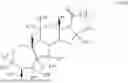 Fig. 29 - COMPOSITIONS AND METHODS FOR TREATING CNS DISORDERS