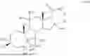 Fig. 31 - COMPOSITIONS AND METHODS FOR TREATING CNS DISORDERS