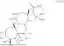 Fig. 33 - COMPOSITIONS AND METHODS FOR TREATING CNS DISORDERS