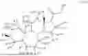 Fig. 53 - COMPOSITIONS AND METHODS FOR TREATING CNS DISORDERS