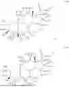 Fig. 58 - COMPOSITIONS AND METHODS FOR TREATING CNS DISORDERS
