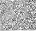 Fig. 01 - HIGH MOLYBDENUM DUPLEX STAINLESS STEEL