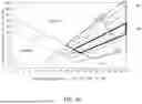 Fig. 04 - HIGH MOLYBDENUM DUPLEX STAINLESS STEEL