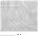 Fig. 06 - HIGH MOLYBDENUM DUPLEX STAINLESS STEEL