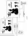 Fig. 08 - Automated Generation of Banner Images