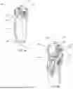 Fig. 02 - PROSTHETIC JOINT ACTUATION SYSTEM