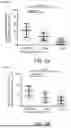 Fig. 09 - INHIBITION OF A TRIPARTITE VOR PROTEIN COMPLEX IN MULTICELLULAR ORGANISMS