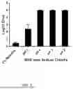Fig. 02 - SODIUM CHLORITE COMPOSITIONS WITH ENHANCED ANTI-MICROBIAL EFFICACY AND REDUCED TOXICITY