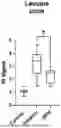 Fig. 01 - COMPOSITION AND METHOD FOR TREATING MUSCLE DECLINE ASSOCIATED WITH RENAL DISEASE OR DYSFUNCTION