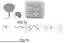 Fig. 02 - Silk Fibroin/Tea Polyphenol Hydrogel and Preparation Method and Application Thereof