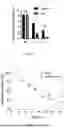 Fig. 07 - Silk Fibroin/Tea Polyphenol Hydrogel and Preparation Method and Application Thereof
