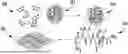 Fig. 01 - NANOCOMPOSITES FOR ENHANCED CELLULAR PAYLOAD DELIVERY