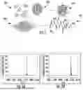 Fig. 02 - NANOCOMPOSITES FOR ENHANCED CELLULAR PAYLOAD DELIVERY