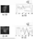 Fig. 09 - NANOCOMPOSITES FOR ENHANCED CELLULAR PAYLOAD DELIVERY