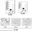 Fig. 22 - NANOCOMPOSITES FOR ENHANCED CELLULAR PAYLOAD DELIVERY