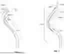 Fig. 07 - CORKSCREW SHAPE FOR RIGHT-SIDED CARDIAC DEVICE