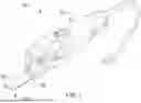Fig. 02 - Dual-Bladed Multi-Tool Device
