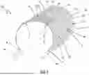 Fig. 02 - TYRE FOR RACING BICYCLE WHEELS