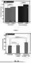 Fig. 08 - MAGNETIC FIELD CURABLE CONCRETE COMPOSITIONS AND METHODS OF CURING USING MAGNETIC NANOPARTICLES