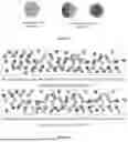 Fig. 05 - PROCESS FOR PRODUCING A HOT BLENDED MATERIAL OF AMORPHOUS SILICON DIOXIDE – CRYSTALLINE SILICON DIOXIDE, PROCESS FOR PRODUCING ARTIFICIAL STONE FROM THE MATERIAL BY PRESS-VIBRATION METHOD IN VACUUM ENVIRONMENT AND THE ARTIFICIAL STONE PRODUCT OBTAINED FROM THIS PROCESS