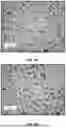 Fig. 05 - GYPSUM BOARDS AND METHODS OF MAKING THEM