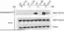 Fig. 01 - PROBES AND METHODS TO IDENTIFY LIGANDABLE FATTY ACYLATION SITES FOR THERAPEUTIC TARGET IDENTIFICATION