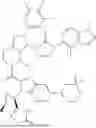 Fig. 240 - PYRAZOLOPYRIDINE DERIVATIVE HAVING GLP-1 RECEPTOR AGONIST EFFECT