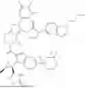 Fig. 53 - PYRAZOLOPYRIDINE DERIVATIVE HAVING GLP-1 RECEPTOR AGONIST EFFECT