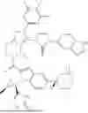 Fig. 56 - PYRAZOLOPYRIDINE DERIVATIVE HAVING GLP-1 RECEPTOR AGONIST EFFECT
