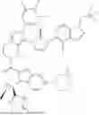 Fig. 57 - PYRAZOLOPYRIDINE DERIVATIVE HAVING GLP-1 RECEPTOR AGONIST EFFECT
