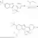 Fig. 137 - CYCLOPROPYL-(HETERO)ARYL-SUBSTITUTED ETHYLSULPHONYL-PYRIDINE DERIVATIVES