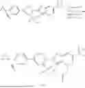 Fig. 296 - CYCLOPROPYL-(HETERO)ARYL-SUBSTITUTED ETHYLSULPHONYL-PYRIDINE DERIVATIVES