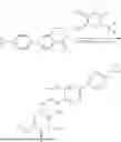Fig. 316 - CYCLOPROPYL-(HETERO)ARYL-SUBSTITUTED ETHYLSULPHONYL-PYRIDINE DERIVATIVES