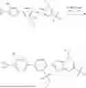 Fig. 458 - CYCLOPROPYL-(HETERO)ARYL-SUBSTITUTED ETHYLSULPHONYL-PYRIDINE DERIVATIVES