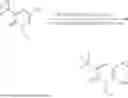 Fig. 495 - CYCLOPROPYL-(HETERO)ARYL-SUBSTITUTED ETHYLSULPHONYL-PYRIDINE DERIVATIVES