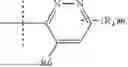 Fig. 88 - CYCLOPROPYL-(HETERO)ARYL-SUBSTITUTED ETHYLSULPHONYL-PYRIDINE DERIVATIVES
