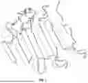 Fig. 02 - RARE EARTH ELEMENT BINDING PROTEIN