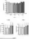 Fig. 04 - LACTOPONTIN-DERIVED POLYPEPTIDE THAT PROMOTES OSTEOBLAST PROLIFERATION AND DIFFERENTIATION AND APPLICATION THEREOF