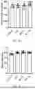Fig. 06 - LACTOPONTIN-DERIVED POLYPEPTIDE THAT PROMOTES OSTEOBLAST PROLIFERATION AND DIFFERENTIATION AND APPLICATION THEREOF