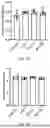 Fig. 08 - LACTOPONTIN-DERIVED POLYPEPTIDE THAT PROMOTES OSTEOBLAST PROLIFERATION AND DIFFERENTIATION AND APPLICATION THEREOF