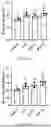 Fig. 11 - LACTOPONTIN-DERIVED POLYPEPTIDE THAT PROMOTES OSTEOBLAST PROLIFERATION AND DIFFERENTIATION AND APPLICATION THEREOF