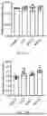 Fig. 12 - LACTOPONTIN-DERIVED POLYPEPTIDE THAT PROMOTES OSTEOBLAST PROLIFERATION AND DIFFERENTIATION AND APPLICATION THEREOF