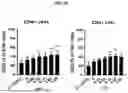Fig. 15 - ACTIVATING AGENTS