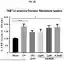 Fig. 43 - ACTIVATING AGENTS