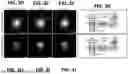 Fig. 07 - EPITOPE TAGS RECOGNIZED BY SPECIFIC BINDERS