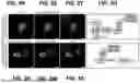 Fig. 09 - EPITOPE TAGS RECOGNIZED BY SPECIFIC BINDERS